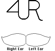 Brand Description: 4 StrungConnected U StrungConnected R